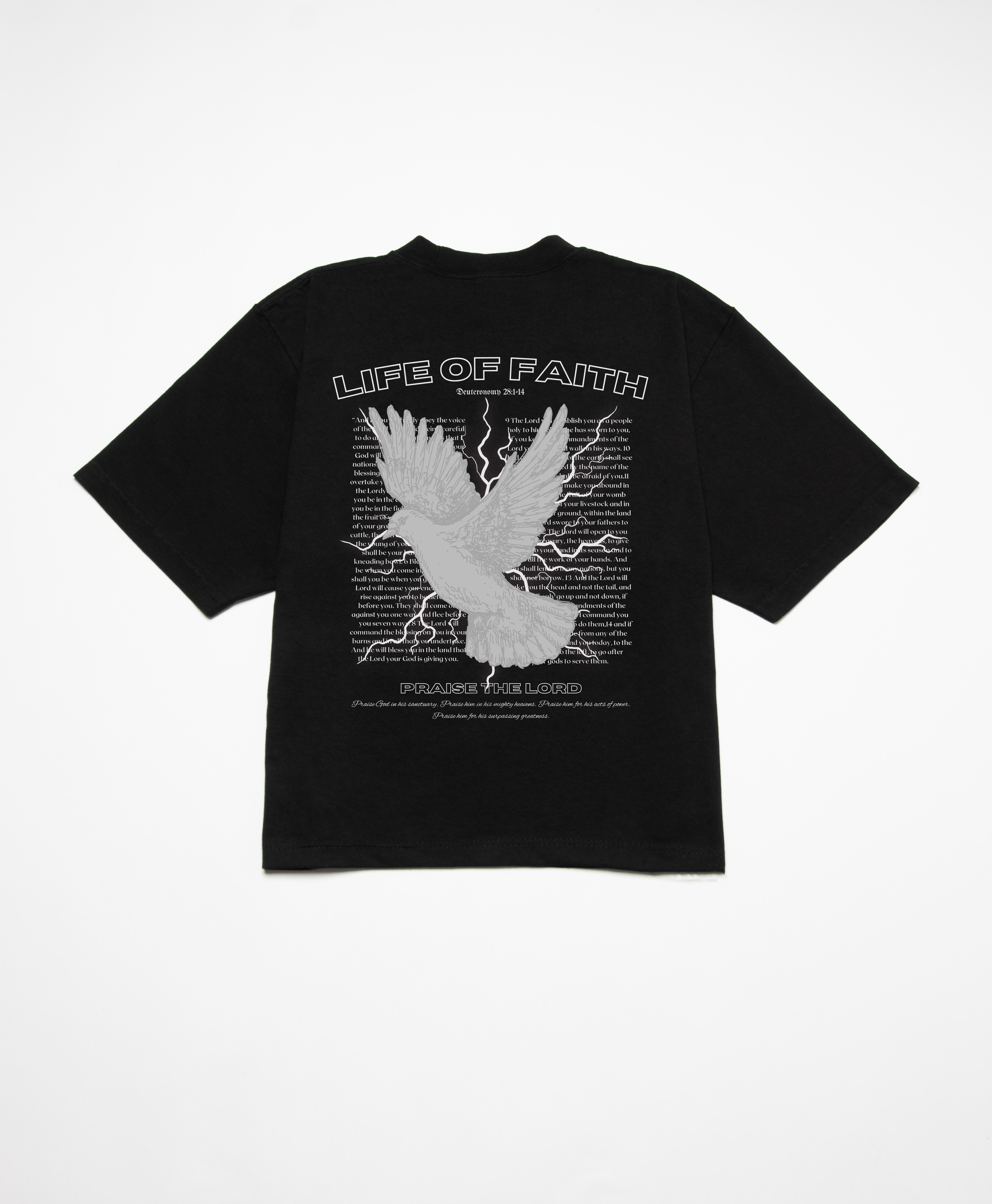 PRAISE THE LORD BOXY TEE