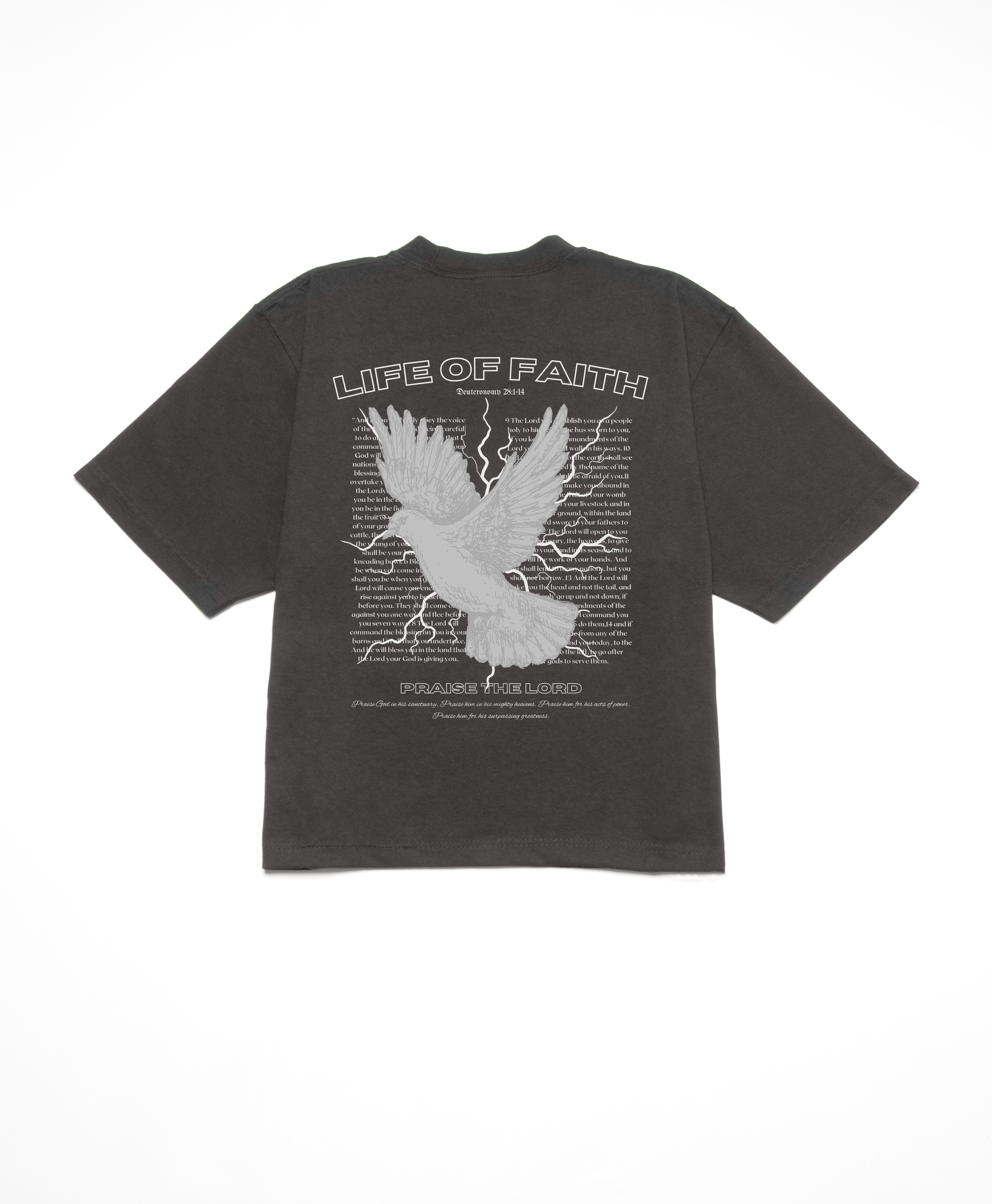 PRAISE THE LORD BOXY TEE