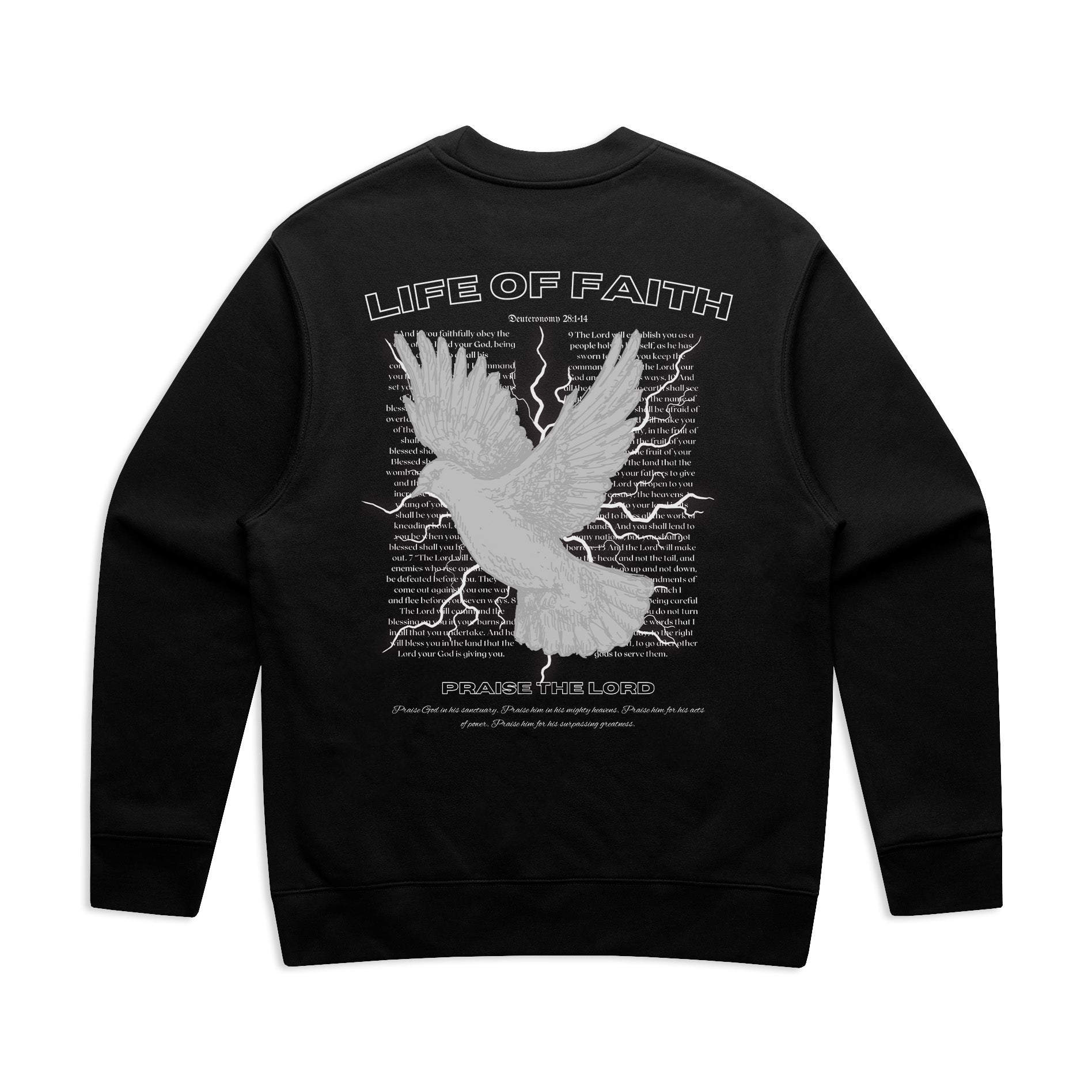 PRAISE THE LORD RELAXED CREWNECK