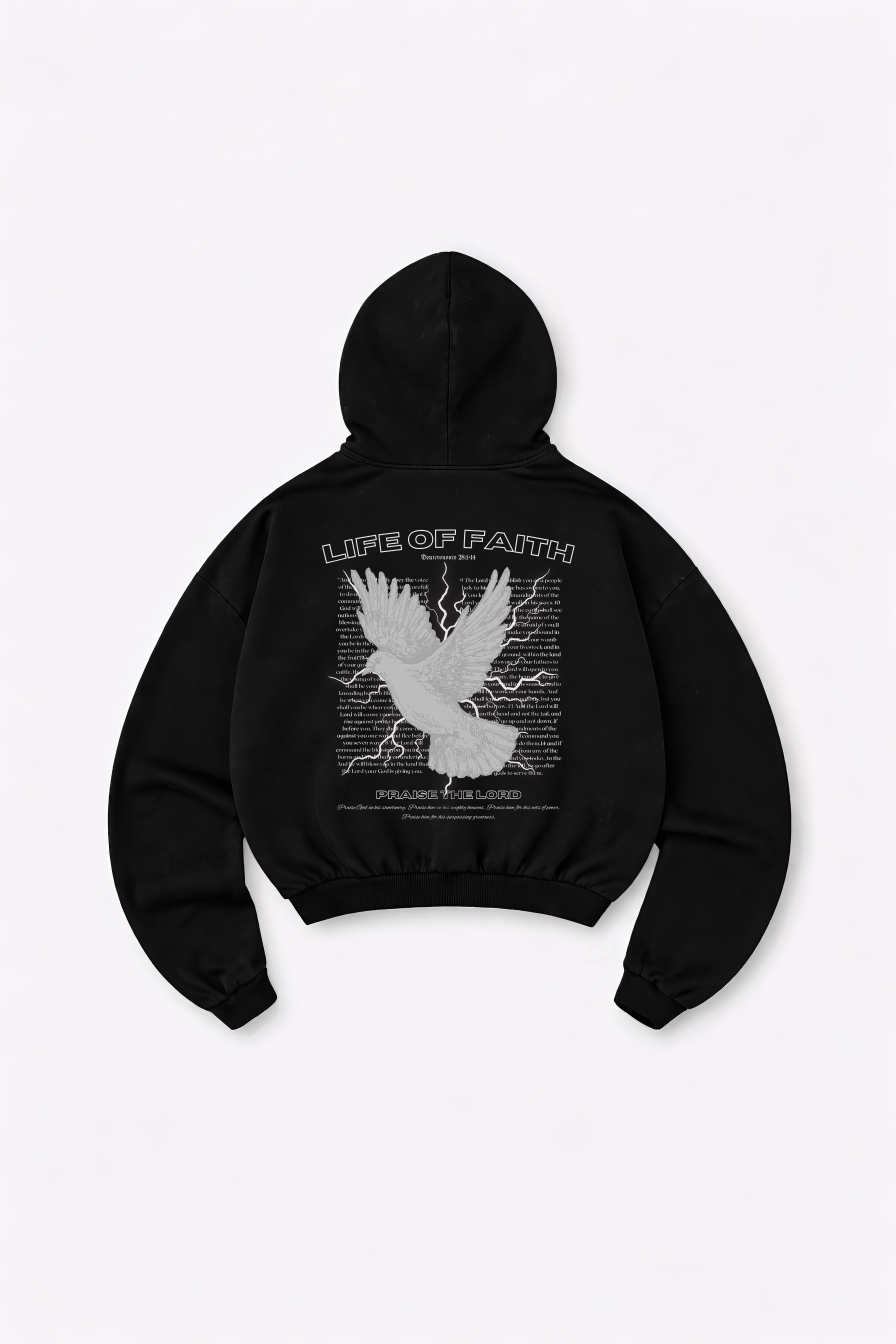 PRAISE THE LORD OVERSIZE HOODIE