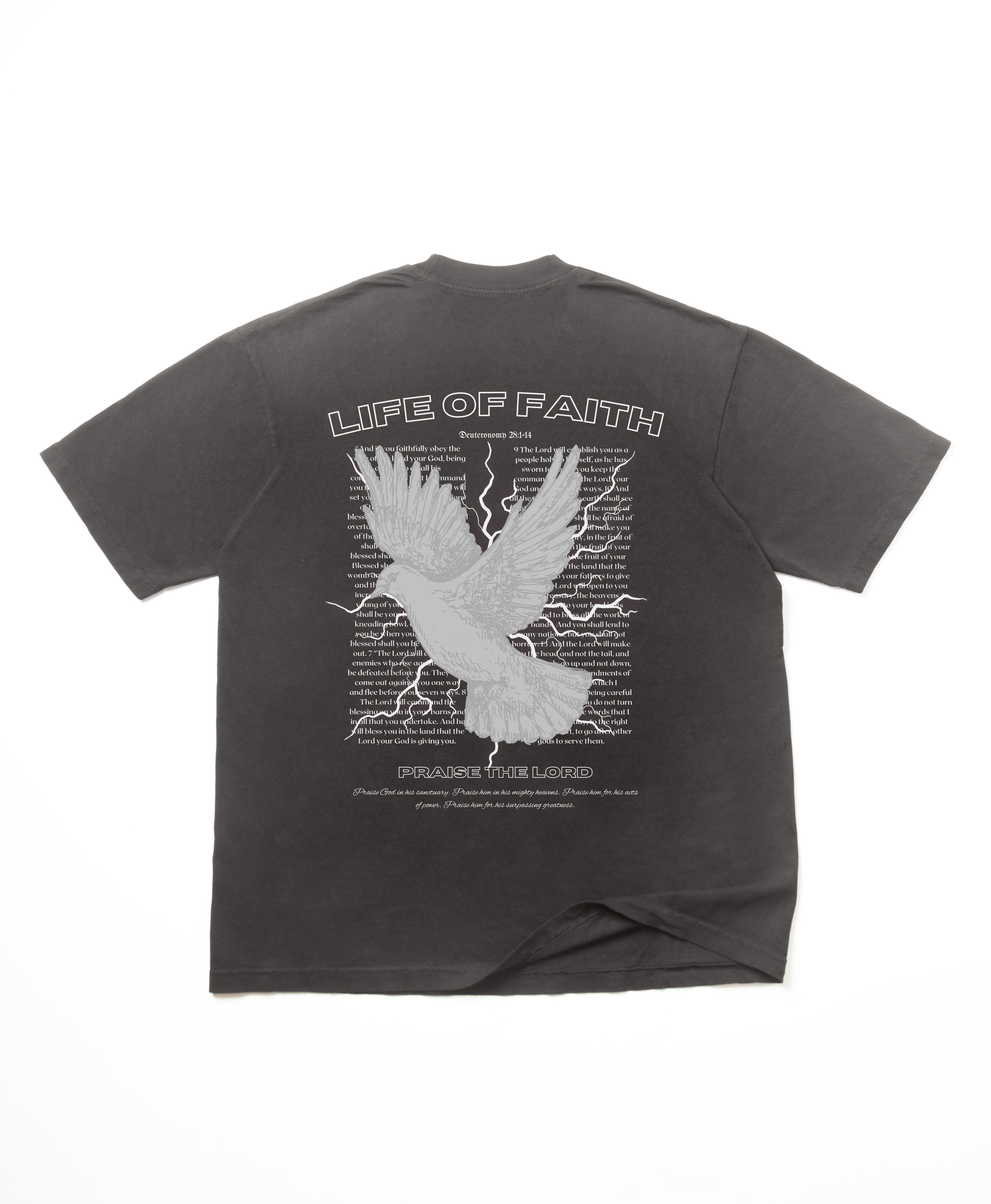 PRAISE THE LORD PREMIUM OVERSIZE TEE