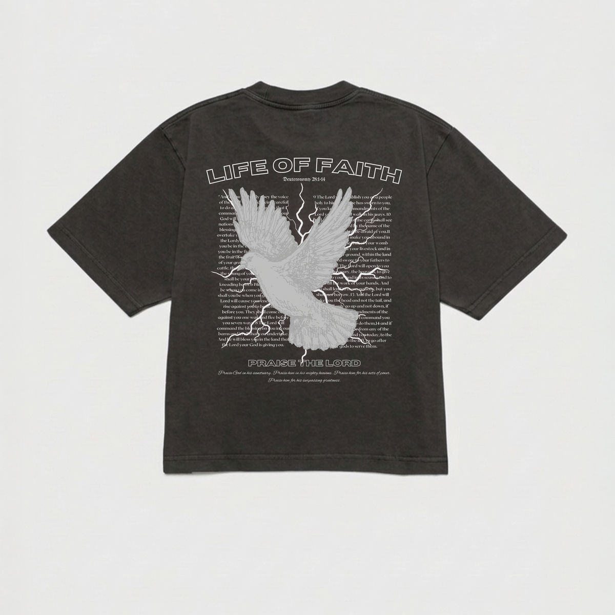 PRAISE THE LORD CROPPED BOXY TEE