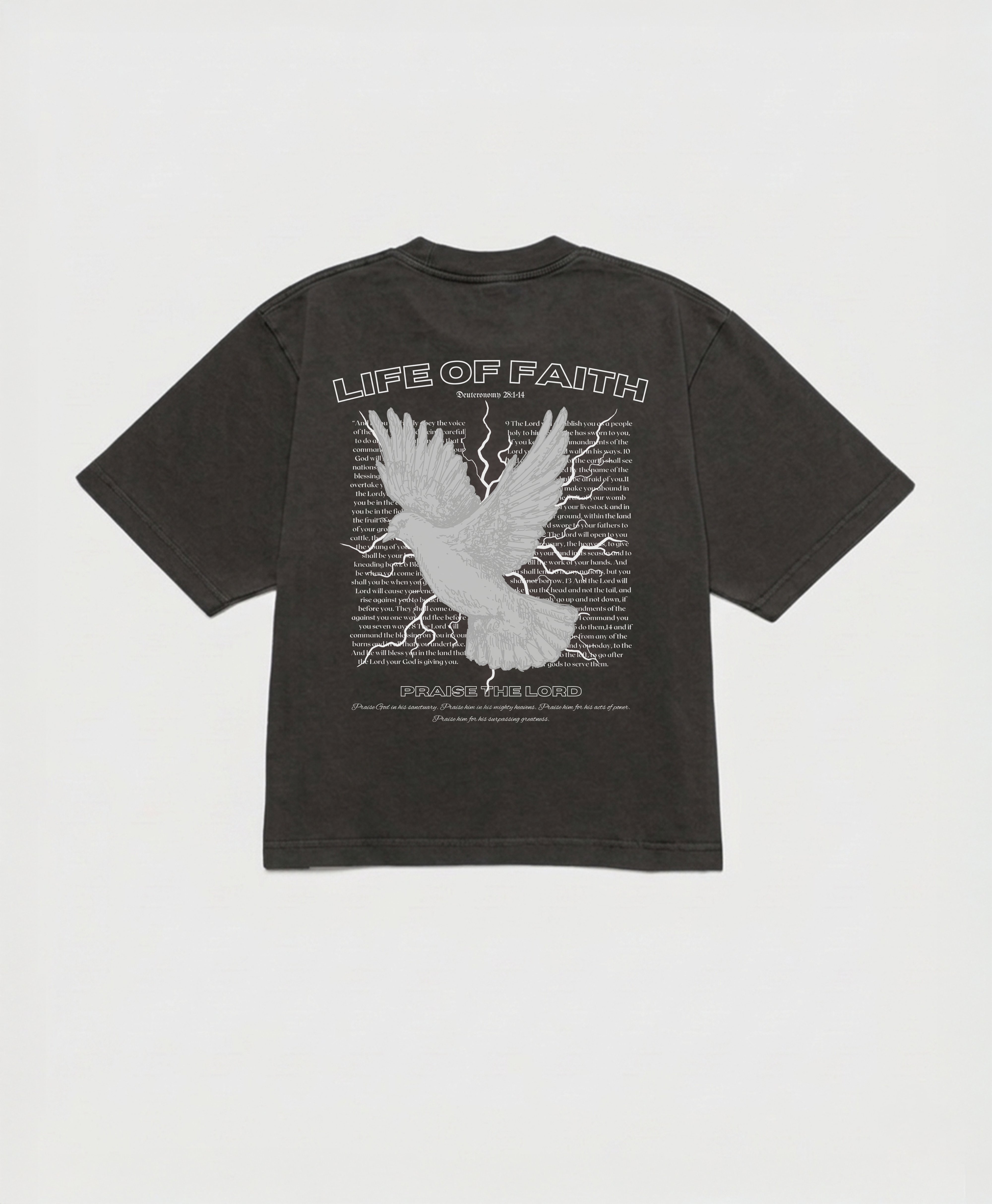 PRAISE THE LORD CROPPED BOXY TEE